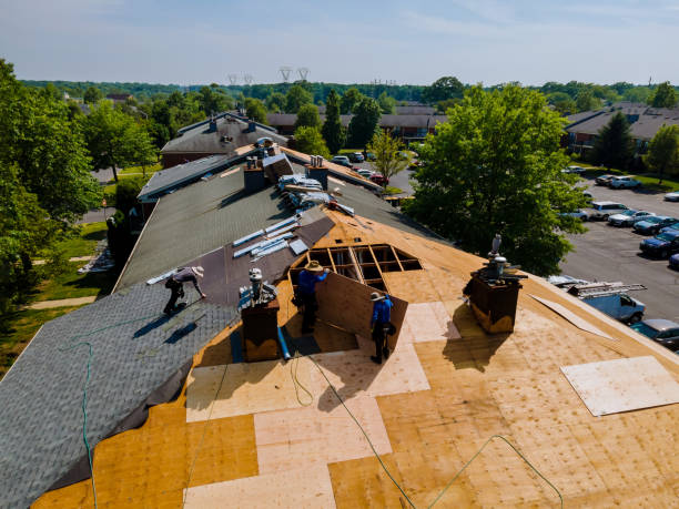 Trusted Roof Replacement service in Davis, CA - Brentwood Metal Roofing